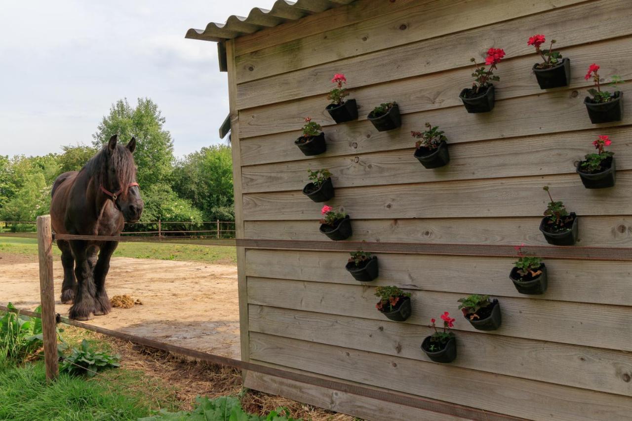 Het Grote Paard Apartment Havelte Exterior foto